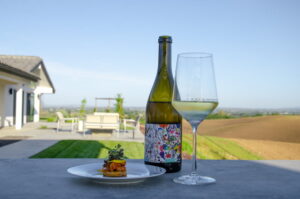 A glass of wine, a wine bottle and a small plate of food, all on an outside table overlooking the fields
