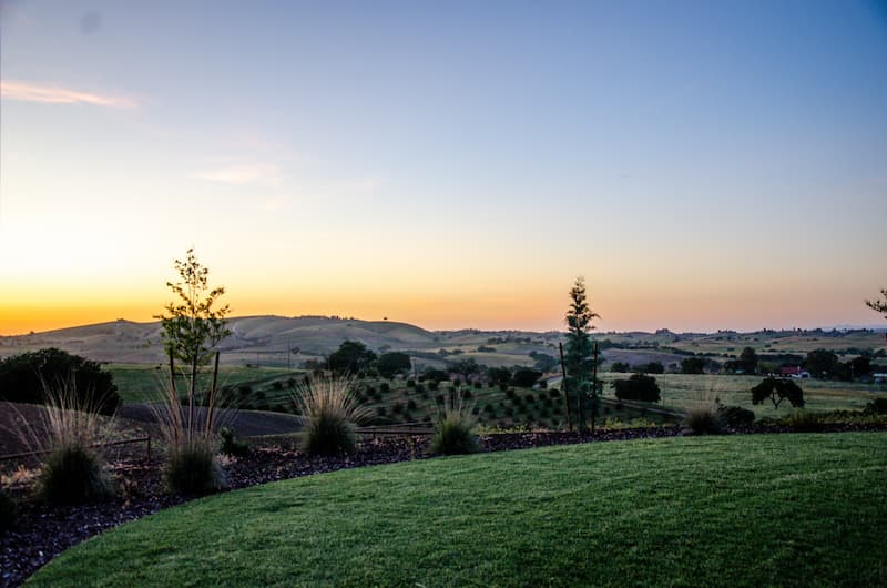 Backyard view at sunset